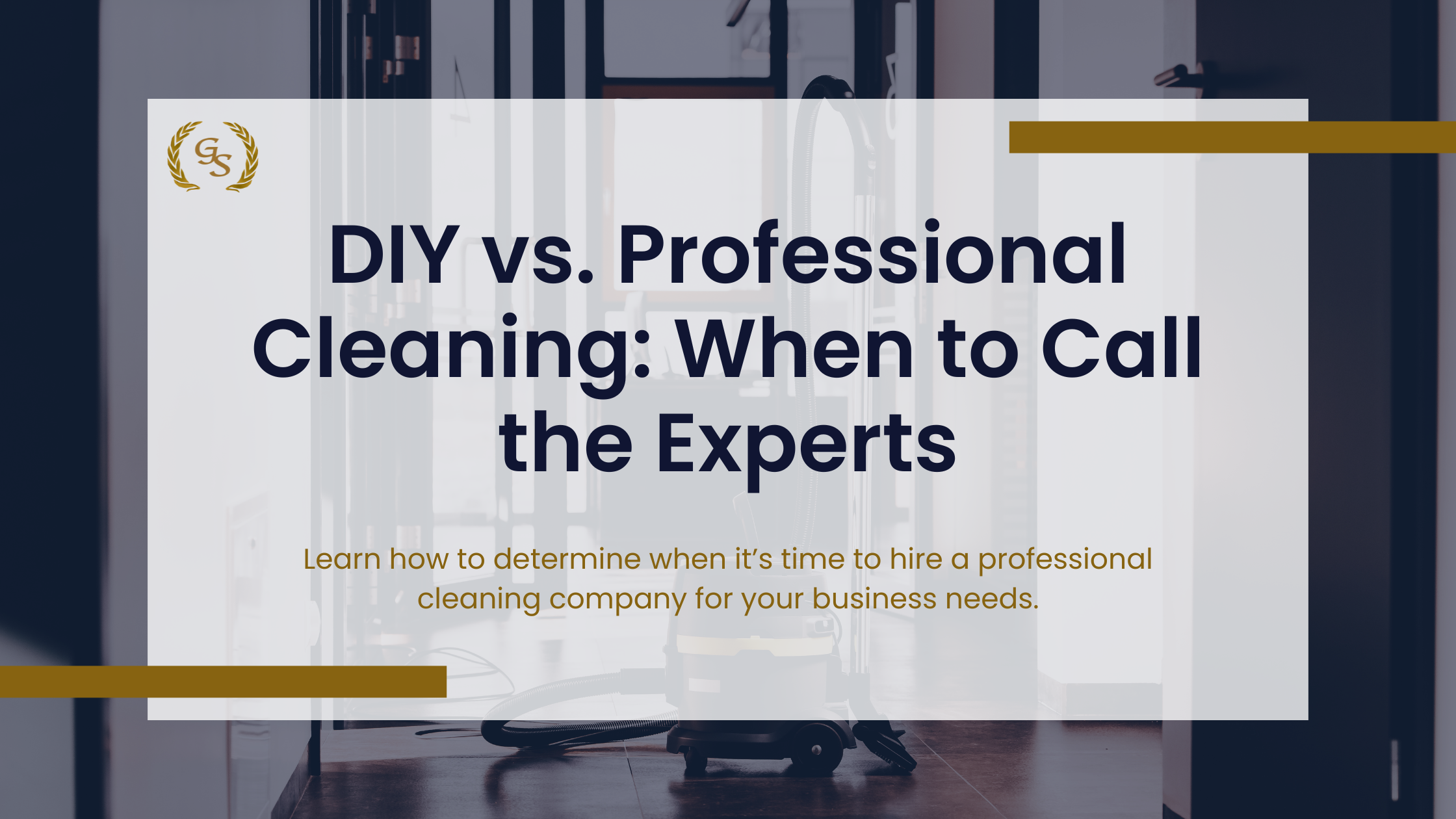 diy vs professional cleaning services